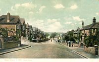 Picture of Ryde Road Seaview 1906